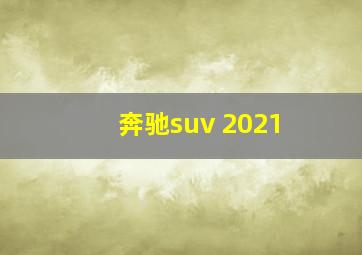 奔驰suv 2021